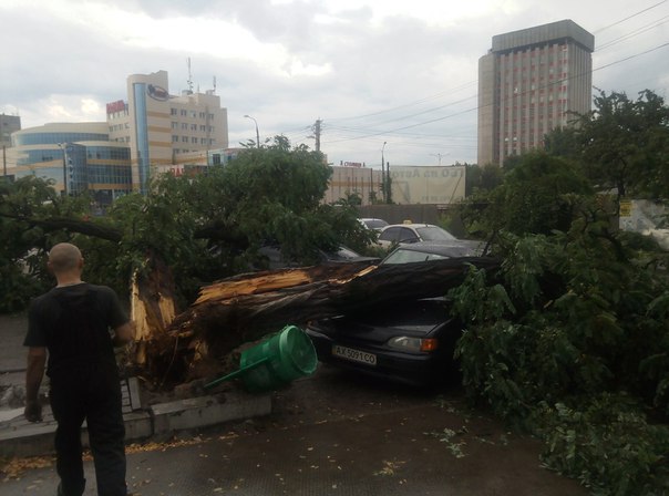 У Харкові зламані дерева впали на авто  - фото 2