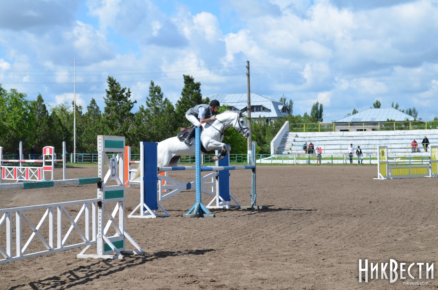 У Миколаєві стартували змагання з кінного спорту серед професіоналів і аматорів - фото 2