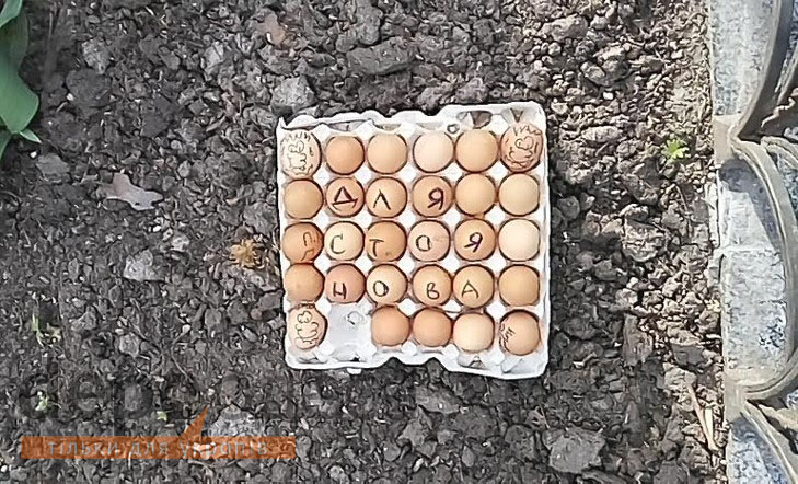 Прокуратуру Одещини заблокували смітником та шинами. Для Стоянова принесли яйця - фото 3