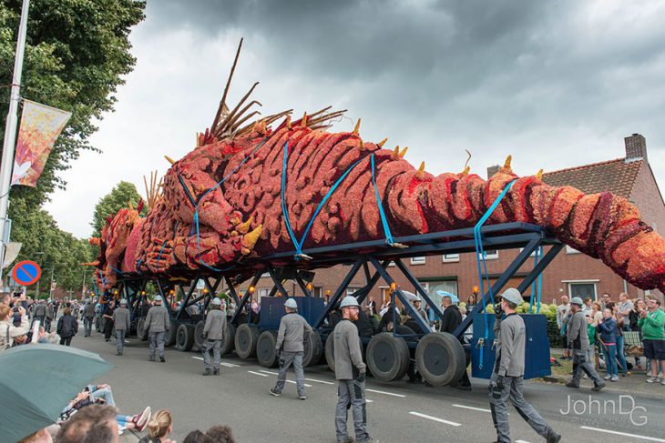 10 величезних монстрів, які навіть в Голандії можна побачити лише раз - фото 12