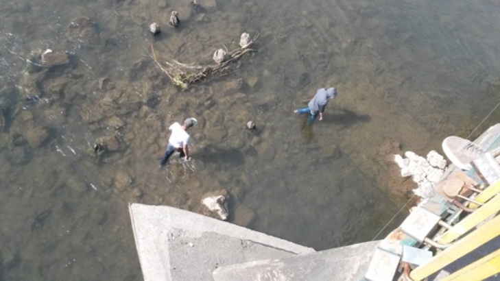 Як в Ужгороді цигани в змілілій річці збирають монети "на щастя" - фото 2