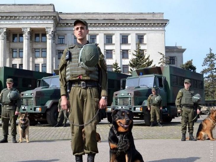 На Куликовому полі в Одесі Нацгвардія та поліція продемонстрували свою готовність - фото 3