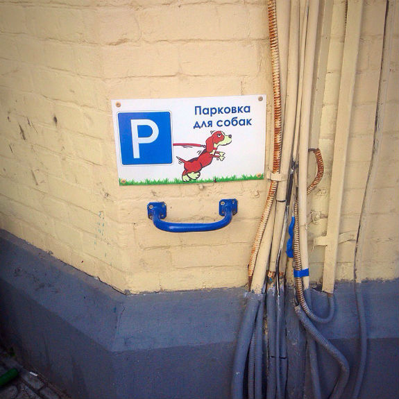 У Києві почали з`являтися "парковки" для собак - фото 1