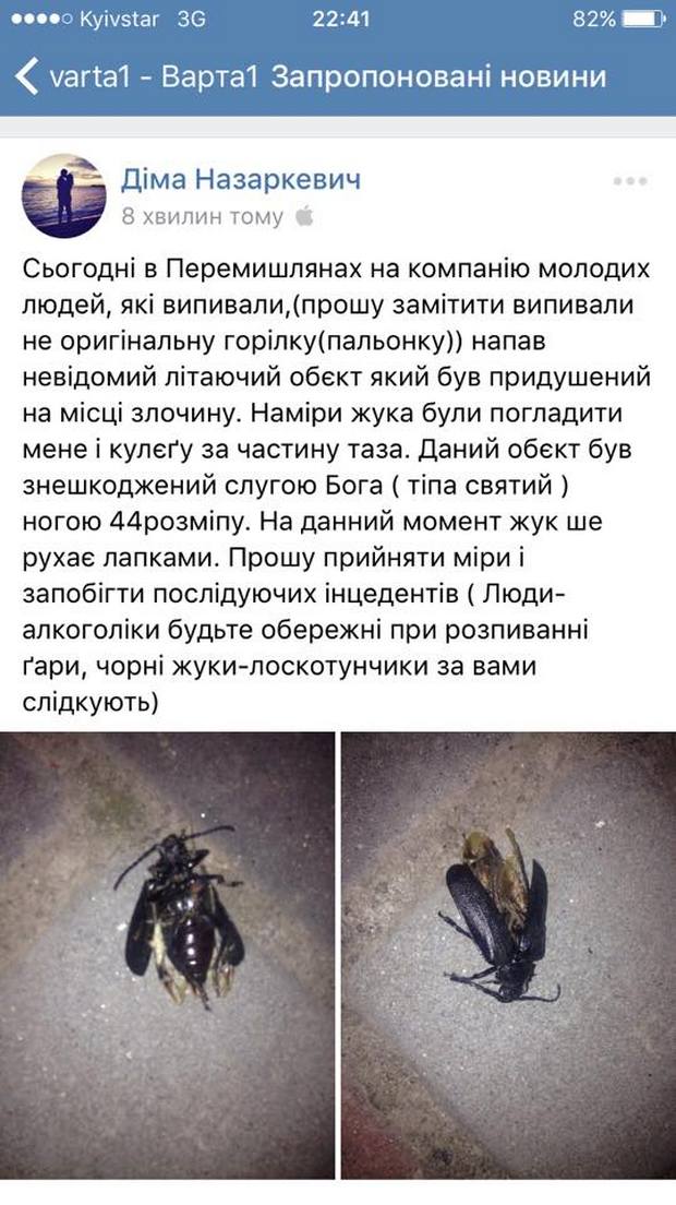 Як на Львівщині на п’яних чоловіків напав жук - фото 1