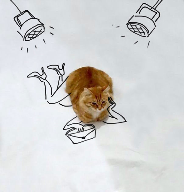 Як звичайний кіт може перетворитися у неймовірні ілюстрації - фото 8