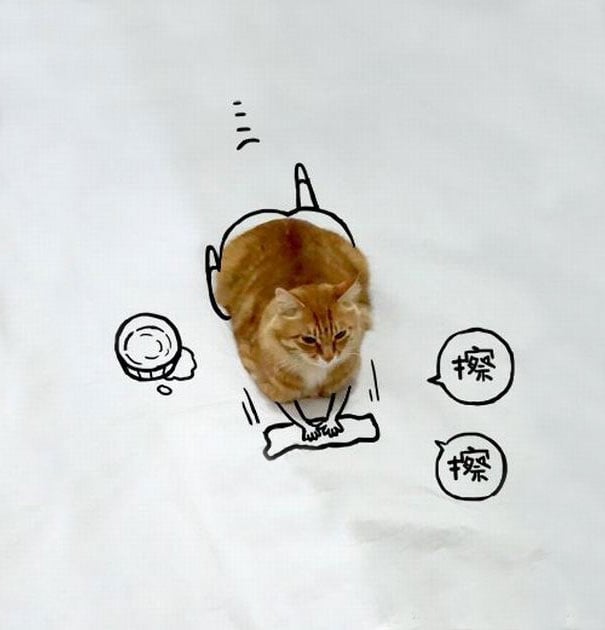 Як звичайний кіт може перетворитися у неймовірні ілюстрації - фото 7