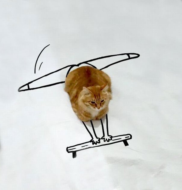 Як звичайний кіт може перетворитися у неймовірні ілюстрації - фото 6