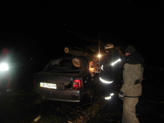 На Київщині дерево впало на автівку з людьми  - фото 3