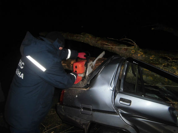 На Київщині дерево впало на автівку з людьми  - фото 4