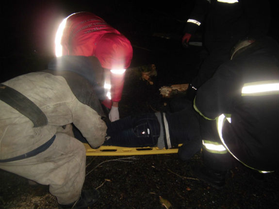 На Київщині дерево впало на автівку з людьми  - фото 1