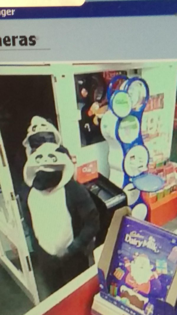 У Великобританії озброєні злочинці в костюмах панд пограбували кіоск - фото 1