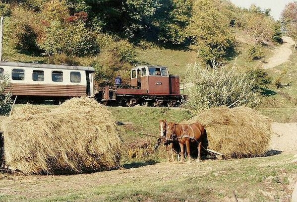 Як повінь на Закарпатті припинила столітнє існування залізничної вузькоколійки  - фото 8