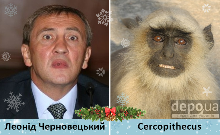 Політики та мавпи - фото 8 Політики та мавпи - фото 8