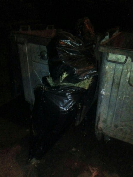 Мешканець Мелітополя нарешті викинув новорічну ялинку - фото 1