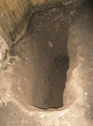 На Харківщині чоловік вбив сплячого сина та викопав для нього могилу  - фото 1