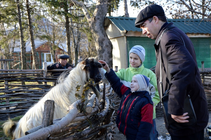 Миколаївський зоопарк готується до приходу весни - фото 7