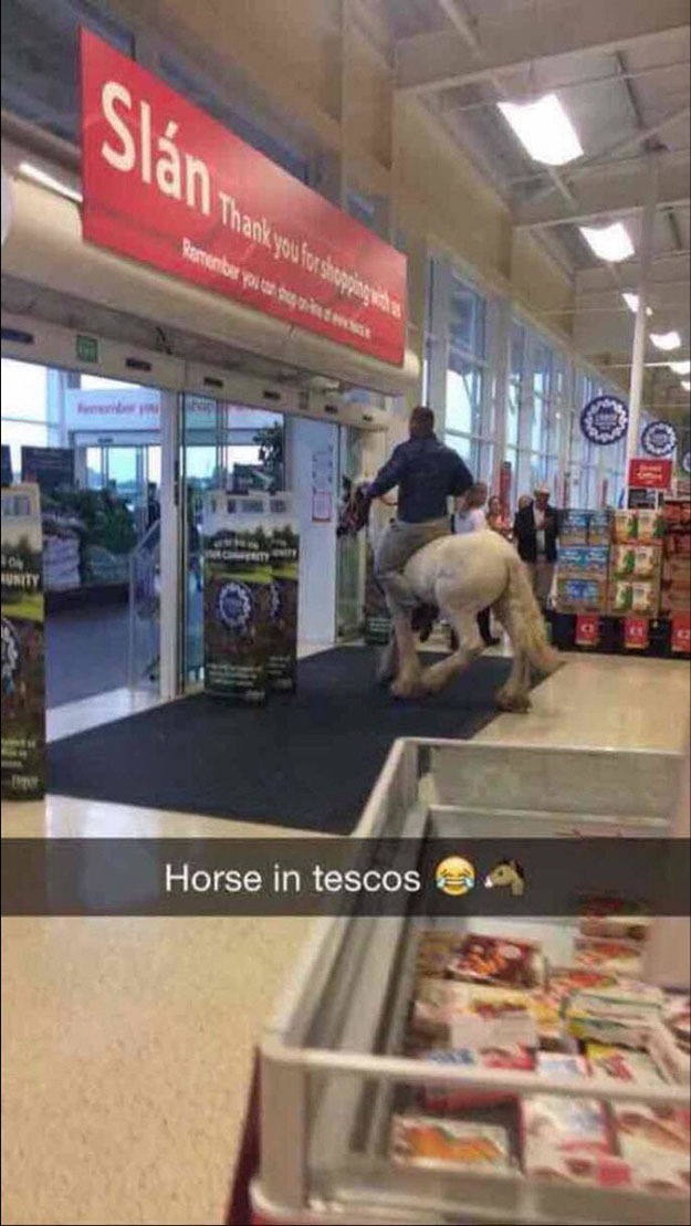 Чоловік заїхав на коні до супермаркету - фото 1