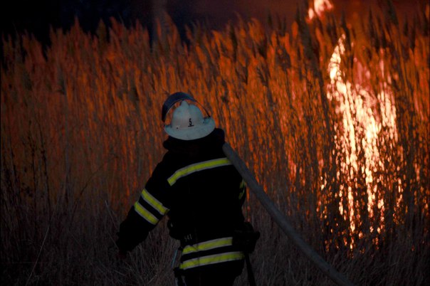 У миколаєві підпалили парк "Богоявленський" - фото 2