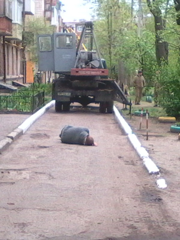 Добровільний помічник сумських електриків "втомився" і приліг прямо на дорогу - фото 2