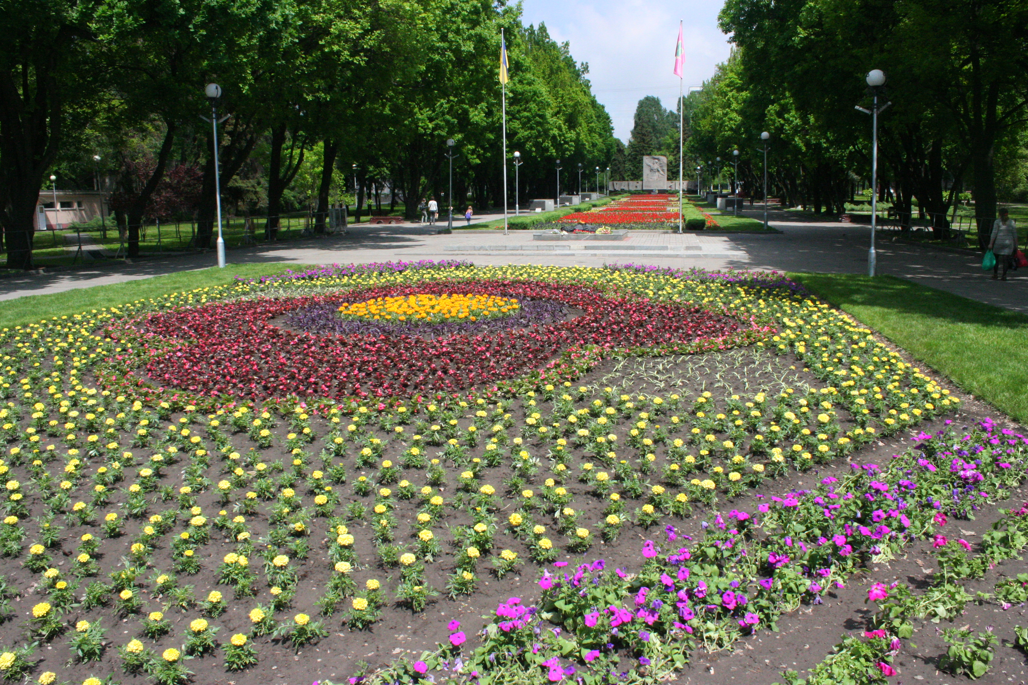 У Запоріжжі розцвів червоний мак, створений з тисяч живих квітів - фото 2