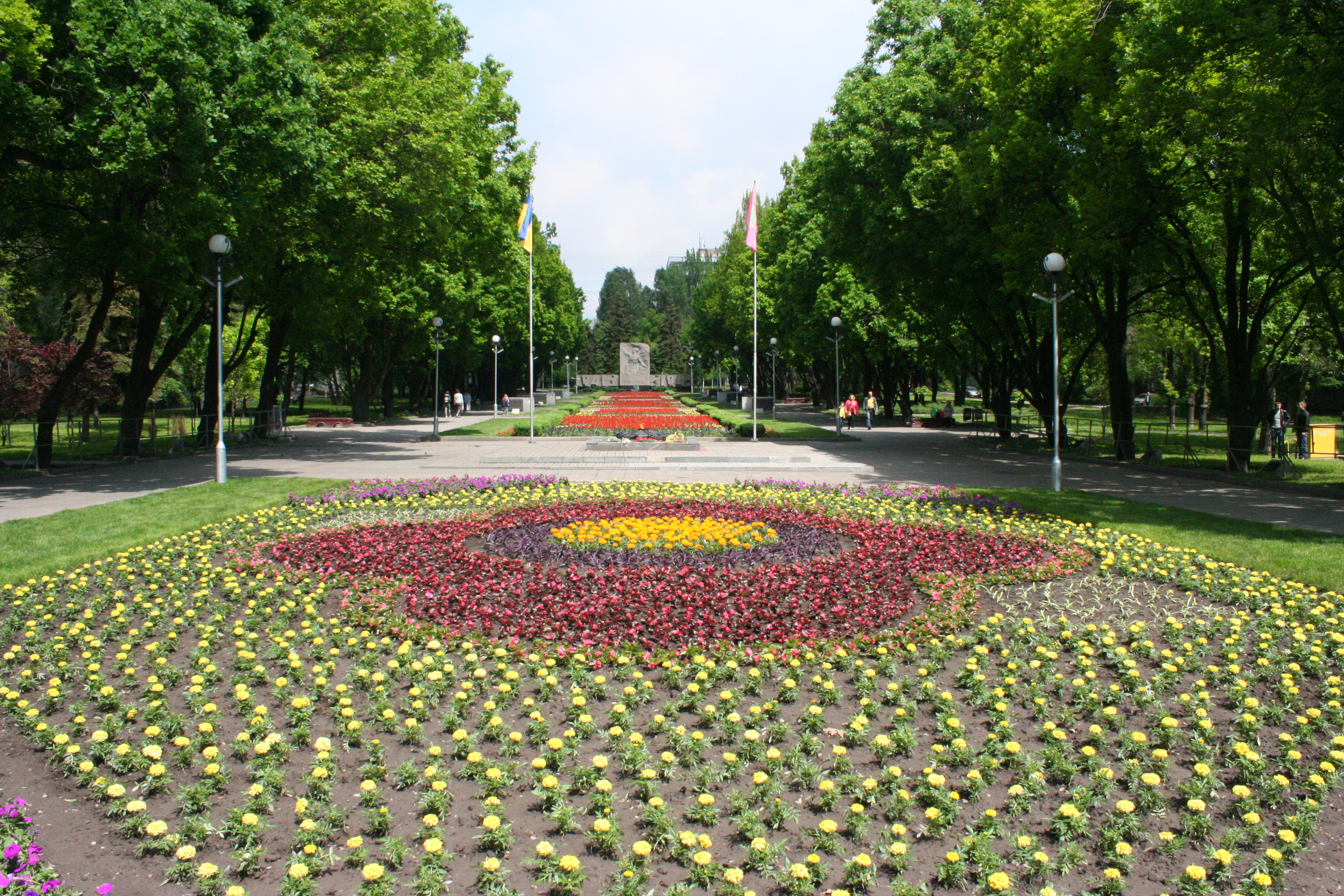 У Запоріжжі розцвів червоний мак, створений з тисяч живих квітів - фото 1