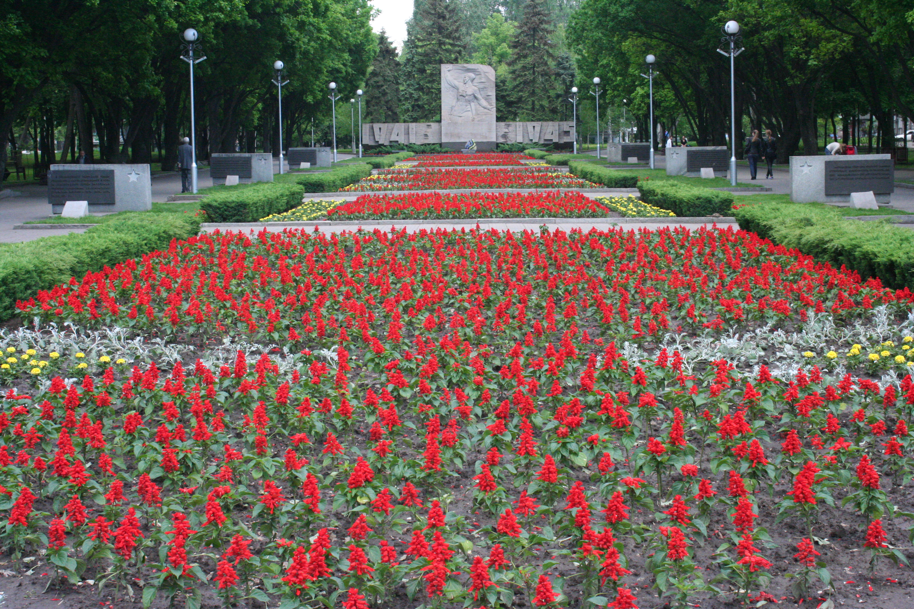 У Запоріжжі розцвів червоний мак, створений з тисяч живих квітів - фото 3