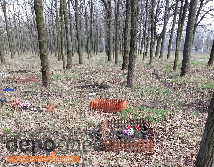 В Одесі з'явилося кладовище для домашніх тварин - фото 1