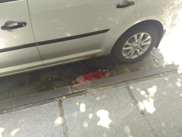 З’явились фото, як із автомобіля у Львові витікала кров - фото 1