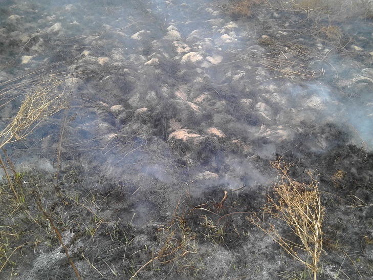 Ліквідація пожежі на Деражнянщині триває  - фото 4
