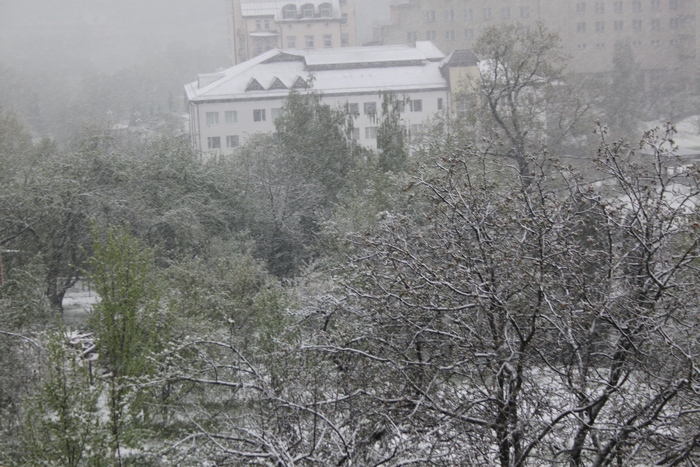 Як Львівщину засипає снігом - фото 3