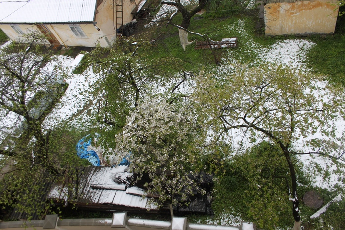 На Львівщині припинився снігопад - фото 1