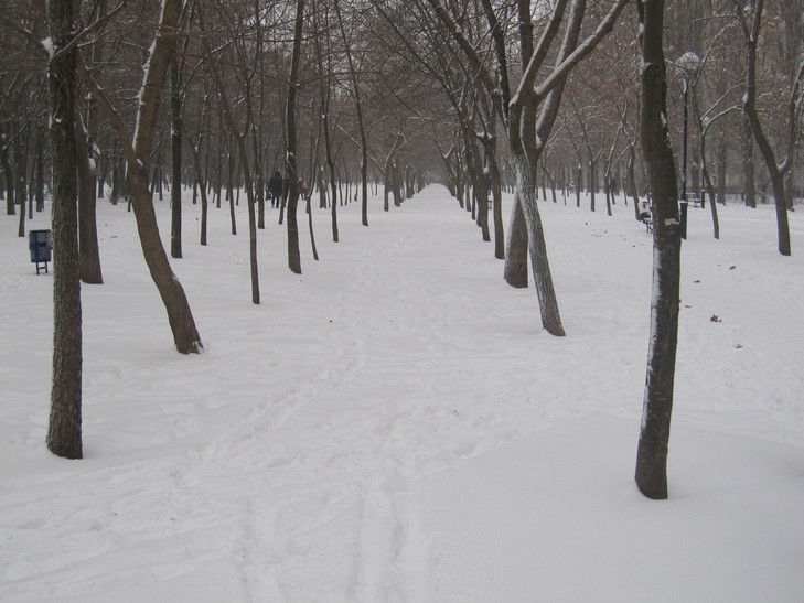 Снігопад в Одесі призвів до заторів в місті і замету тротуарів - фото 1