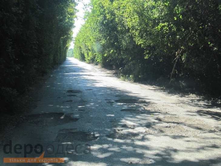 Як на Одещині зникають дороги, на яких міг би піаритись Саакашвілі (ФОТОРЕПОРТАЖ) - фото 10