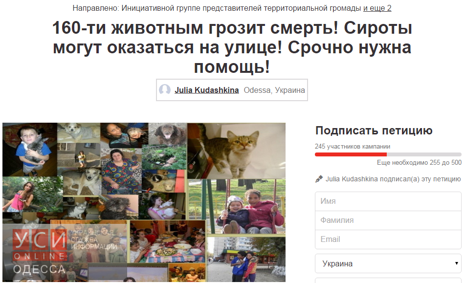 Активісти Одеси проводять збір підписів на підтримку притулку для тварин - фото 1