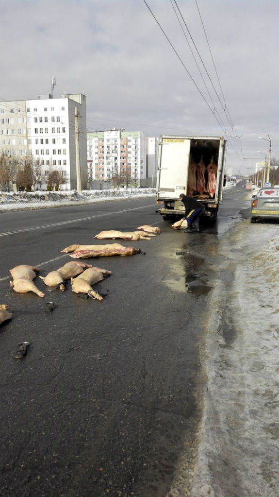У Харкові просто посеред дороги з вантажівки випали свинячі напівтушки - фото 6