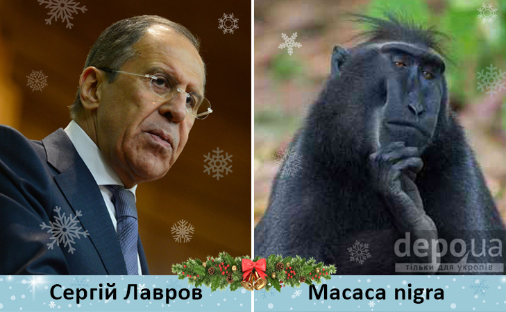 Політики та мавпи - фото 11 Політики та мавпи - фото 11