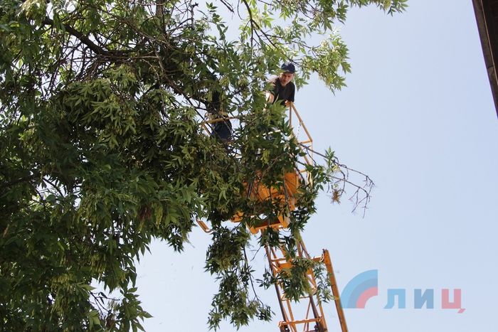 Окупованим Луганськом пройшовся буревій: повалені дерева, немає світла (ФОТО) - фото 3
