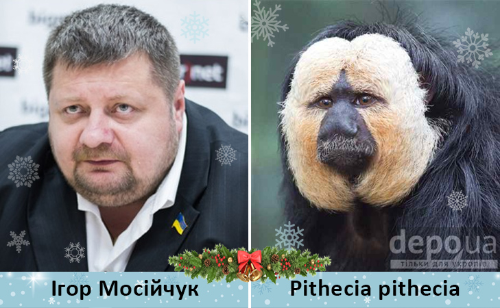 Політики та мавпи - фото 3 Політики та мавпи - фото 3