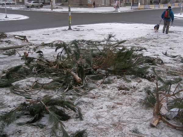 1 січня у Дніпропетровську: викинуті ялинки, голуби з пляшками і Діди Морози  - фото 2
