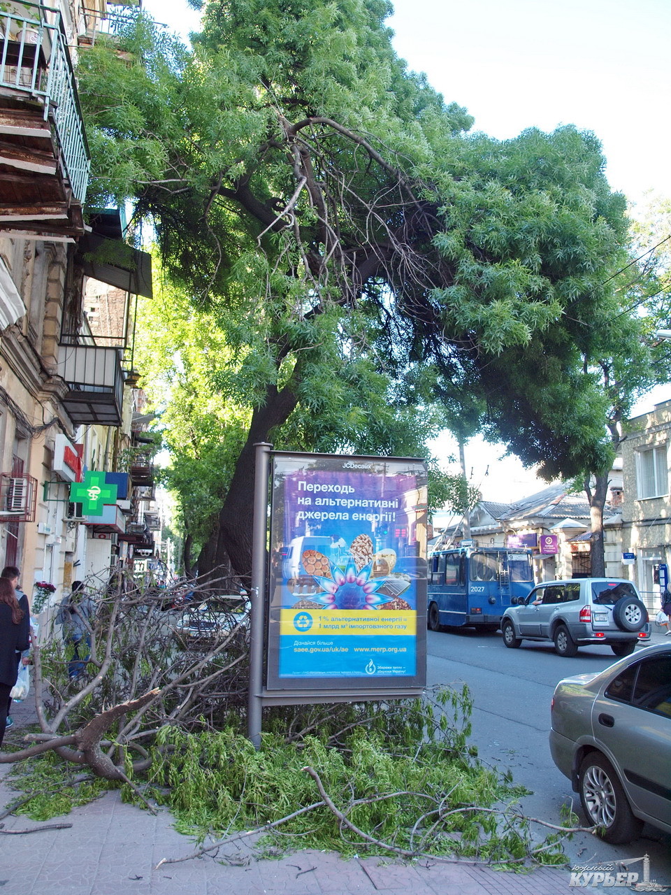 У центрі Одеси на тротуар падають величезні гілки трухлявого дерева - фото 2