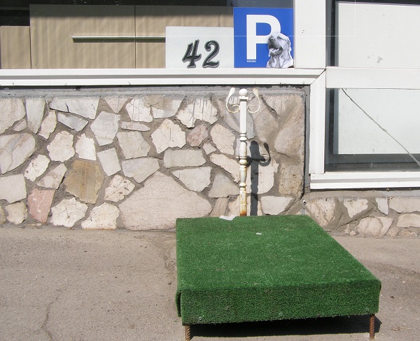 У Дніпропетровську з’явилися парковки для собак - фото 1