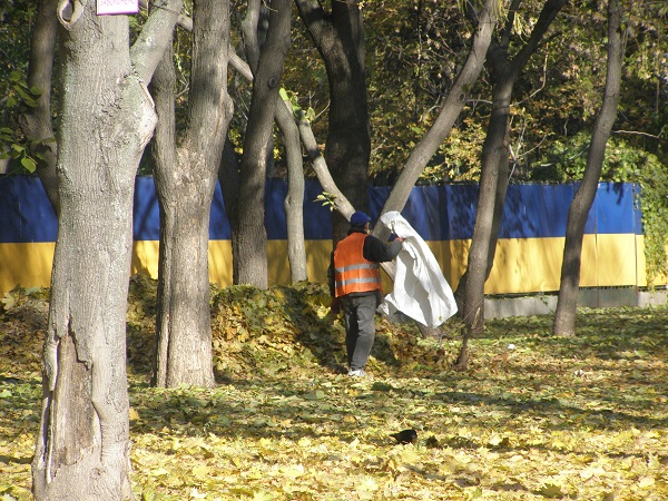 У Дніпропетровську комунальники ганяють опале листя по парку - фото 3