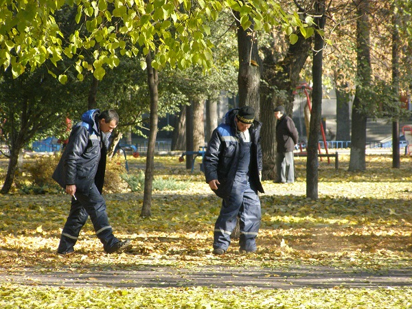 У Дніпропетровську комунальники ганяють опале листя по парку - фото 4