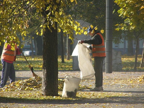 У Дніпропетровську комунальники ганяють опале листя по парку - фото 2