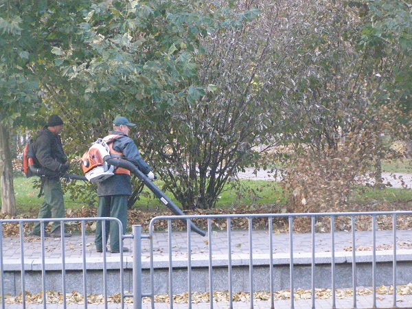 У Дніпропетровську комунальники ганяють опале листя по парку - фото 5