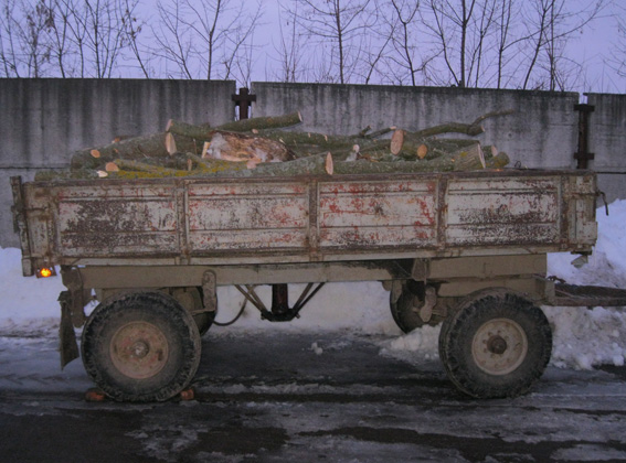Двох мешканців Сумщини спіймали на незаконній заготівлі дров у лісосмузі - фото 4