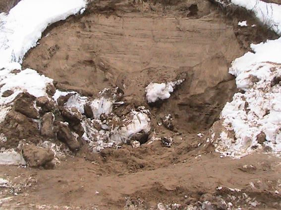Мешканця Чернігівщини спіймали за незаконним видобуванням піску на Сумщині - фото 2