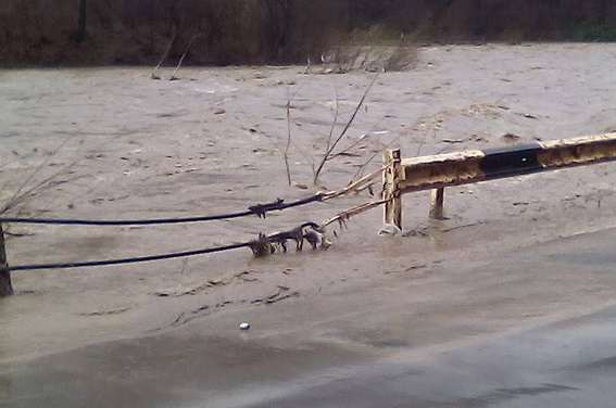 На Закарпатті найбільше від водної стихії потерпають Тячівщина та Рахівщина - фото 1