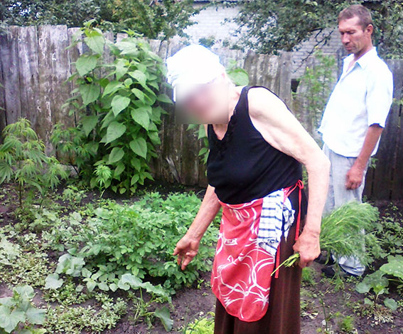 На Харківщині 81-річна пенсіонерка виростила наркоплантацію - фото 1