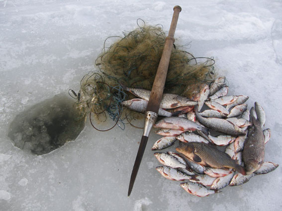 На Кременчуцькому водосховищі сітками ловлять рибу - фото 2